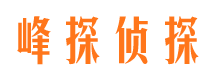 巴东侦探公司